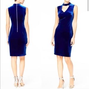 CK chocked Velvet blue dress